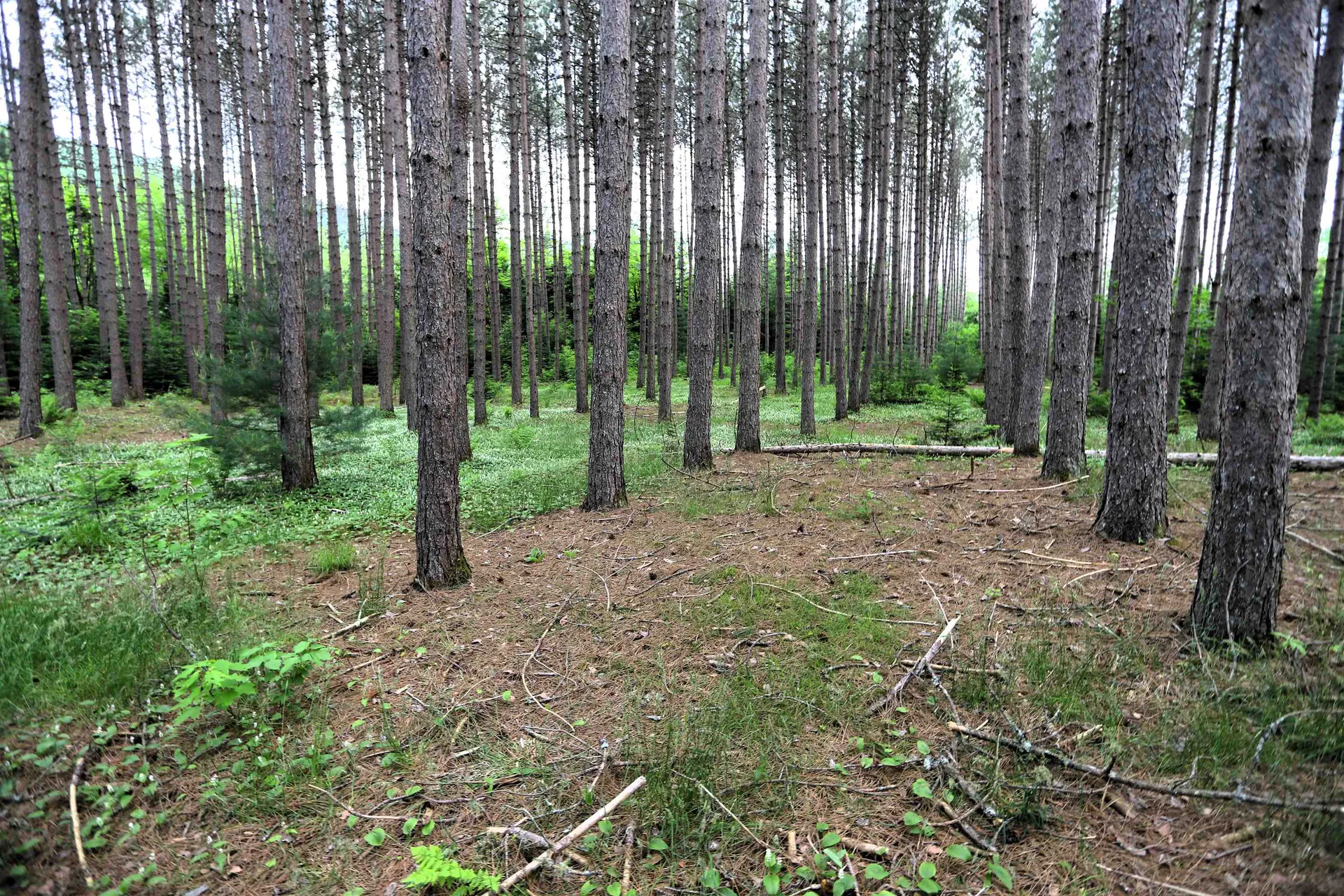 524 Five Mile Square Road Brighton VT 05846