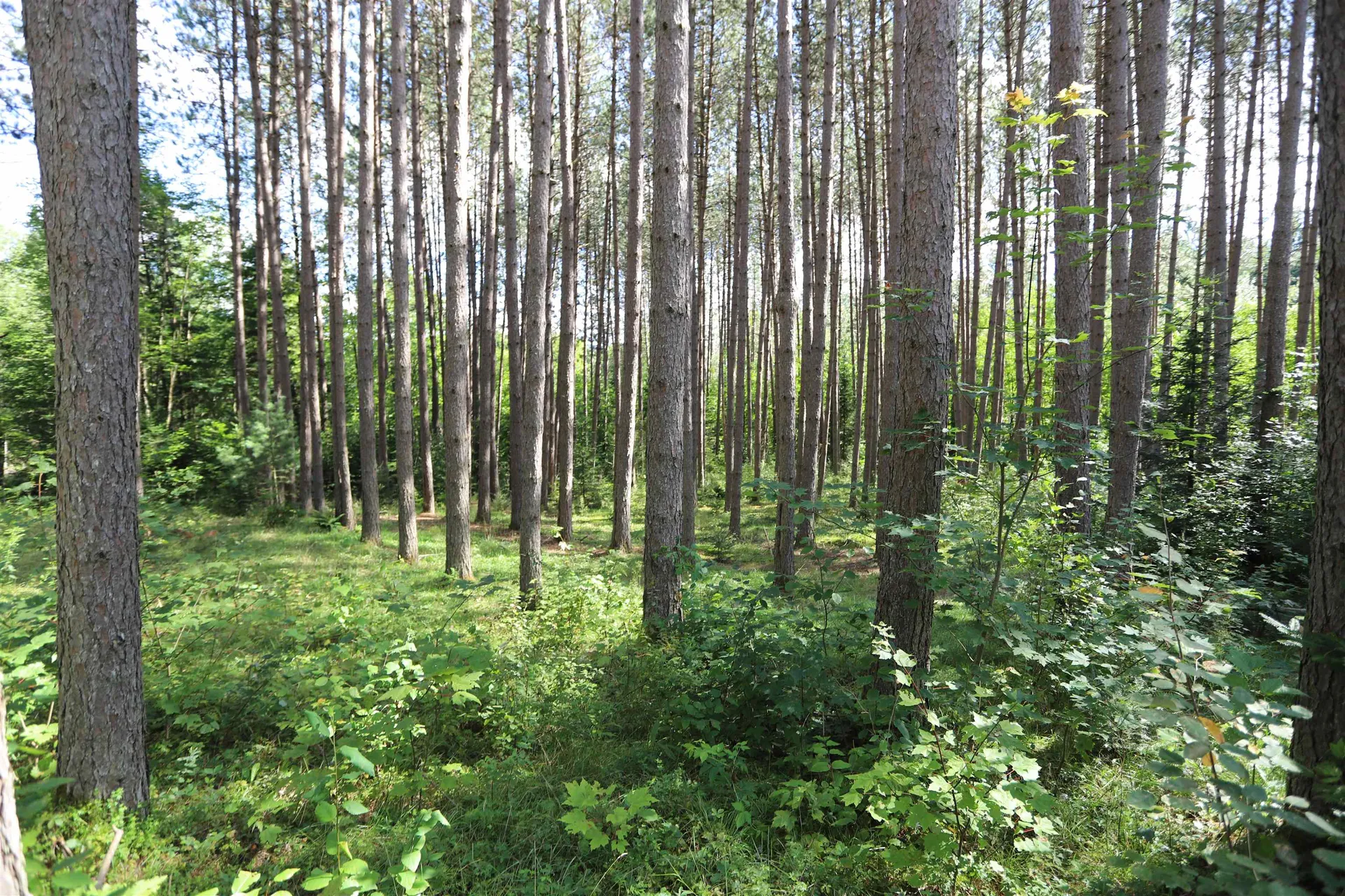 524 Five Mile Square Road Brighton VT 05846