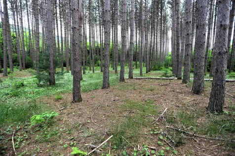 524 Five Mile Square Road Brighton VT 05846