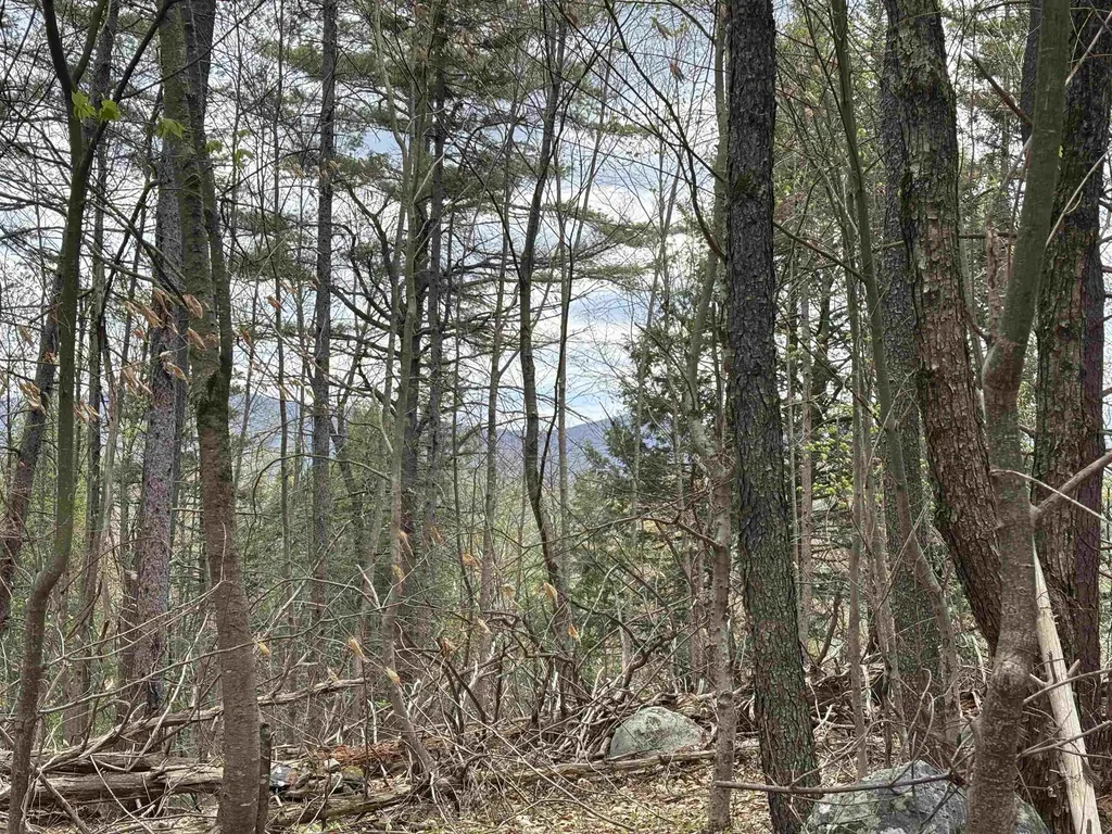 0 Snell Road Chester VT 05143