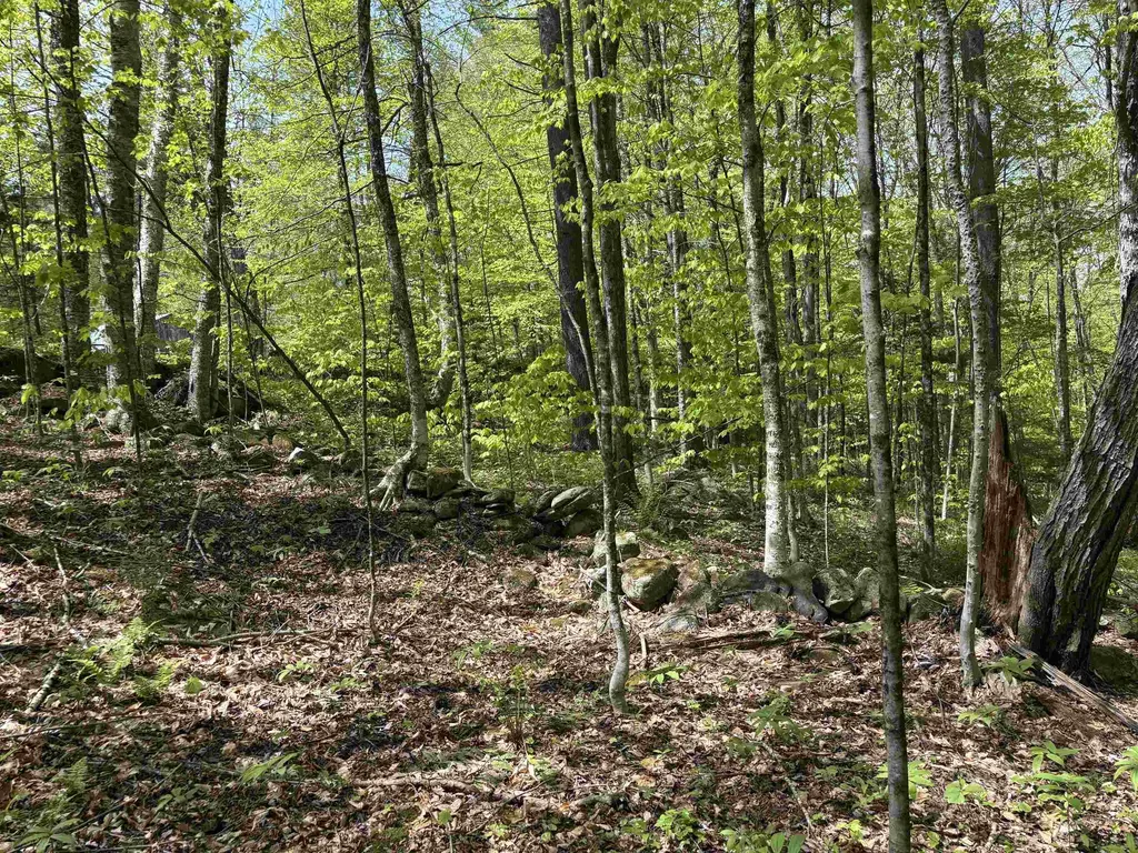 0 Snell Road Chester VT 05143