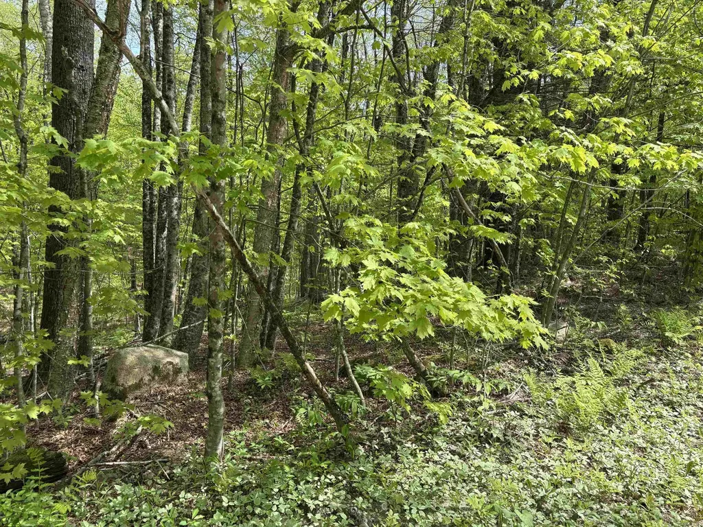 0 Snell Road Chester VT 05143