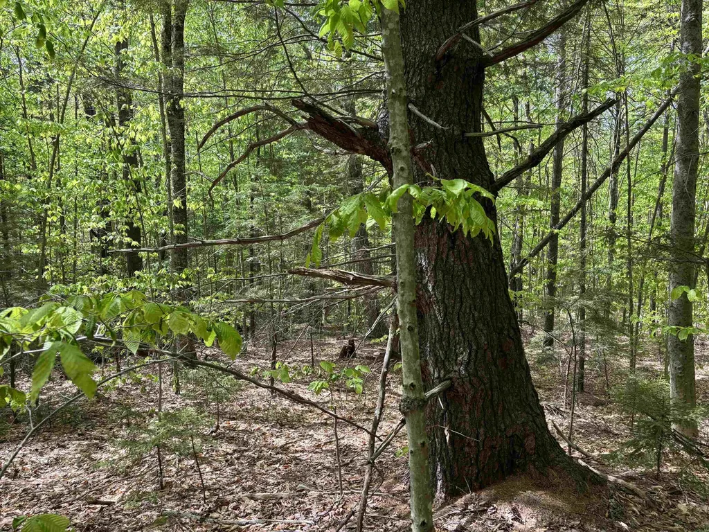 0 Snell Road Chester VT 05143