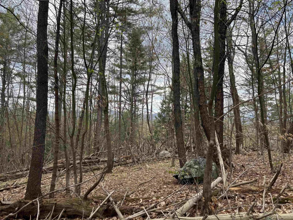 0 Snell Road Chester VT 05143