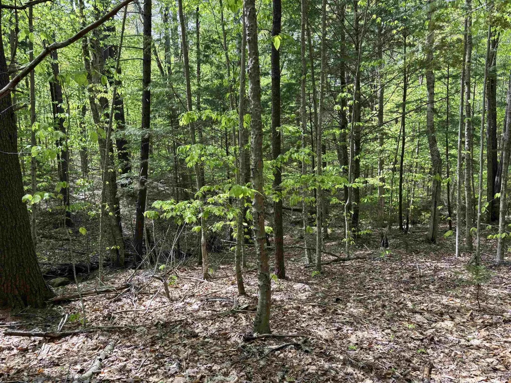 0 Snell Road Chester VT 05143