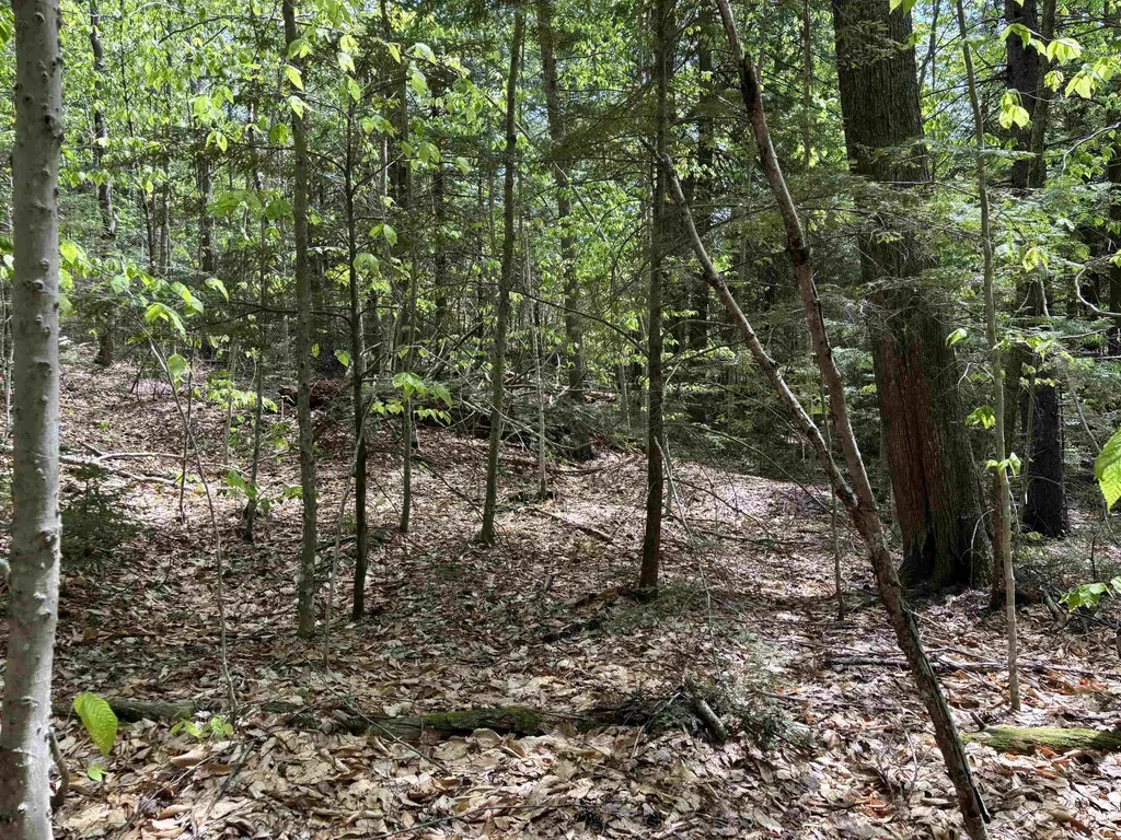 0 Snell Road Chester VT 05143