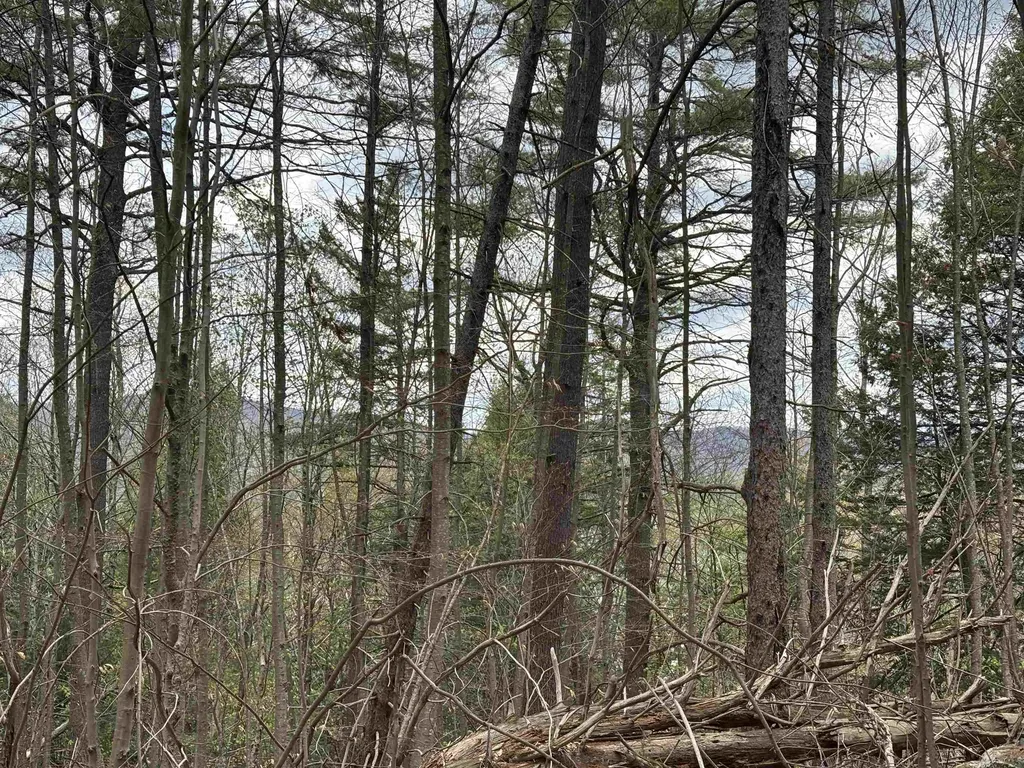 0 Snell Road Chester VT 05143