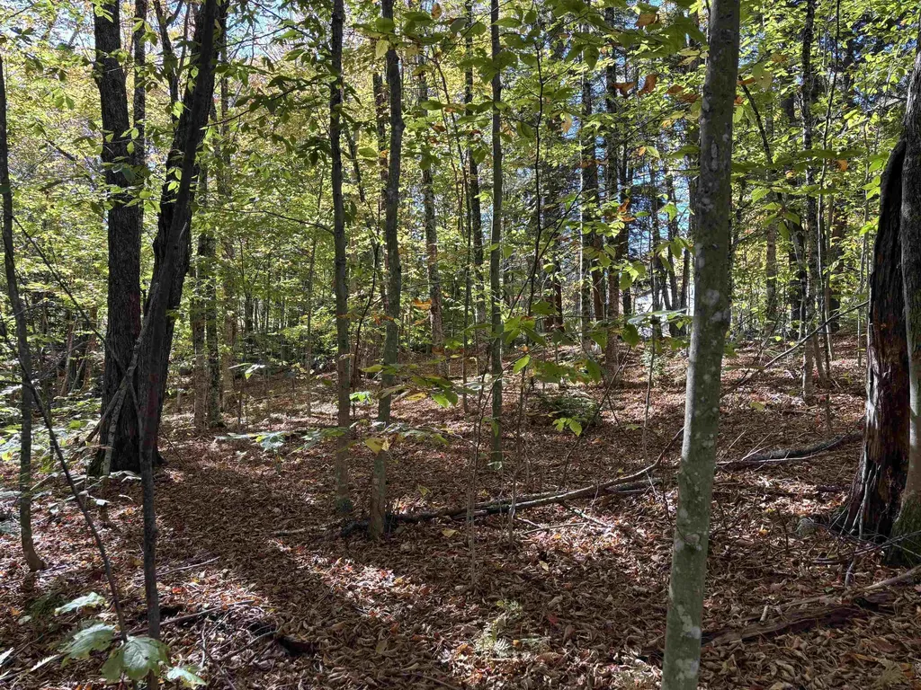 0 Snell Road Chester VT 05143