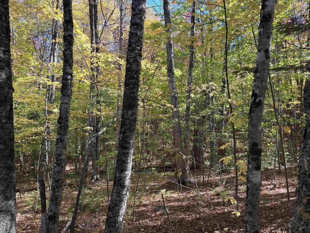 0 Snell Road Chester VT 05143