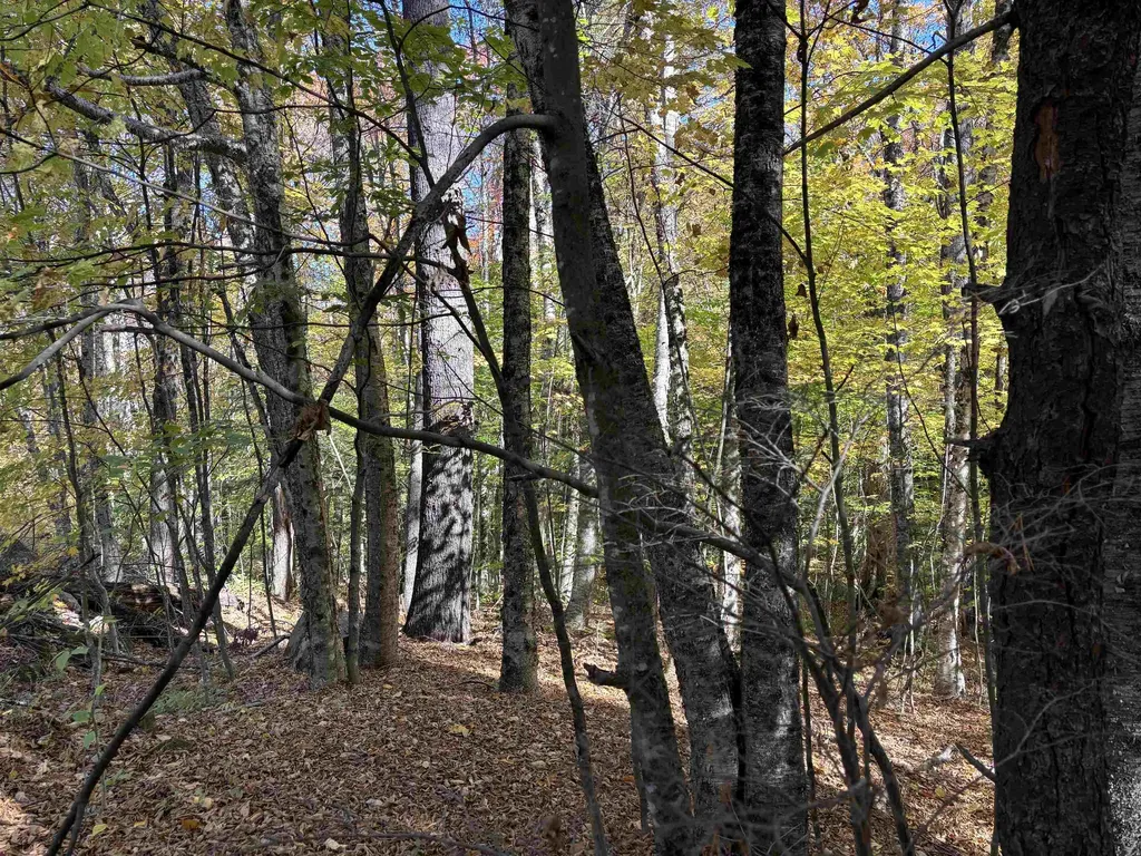 0 Snell Road Chester VT 05143