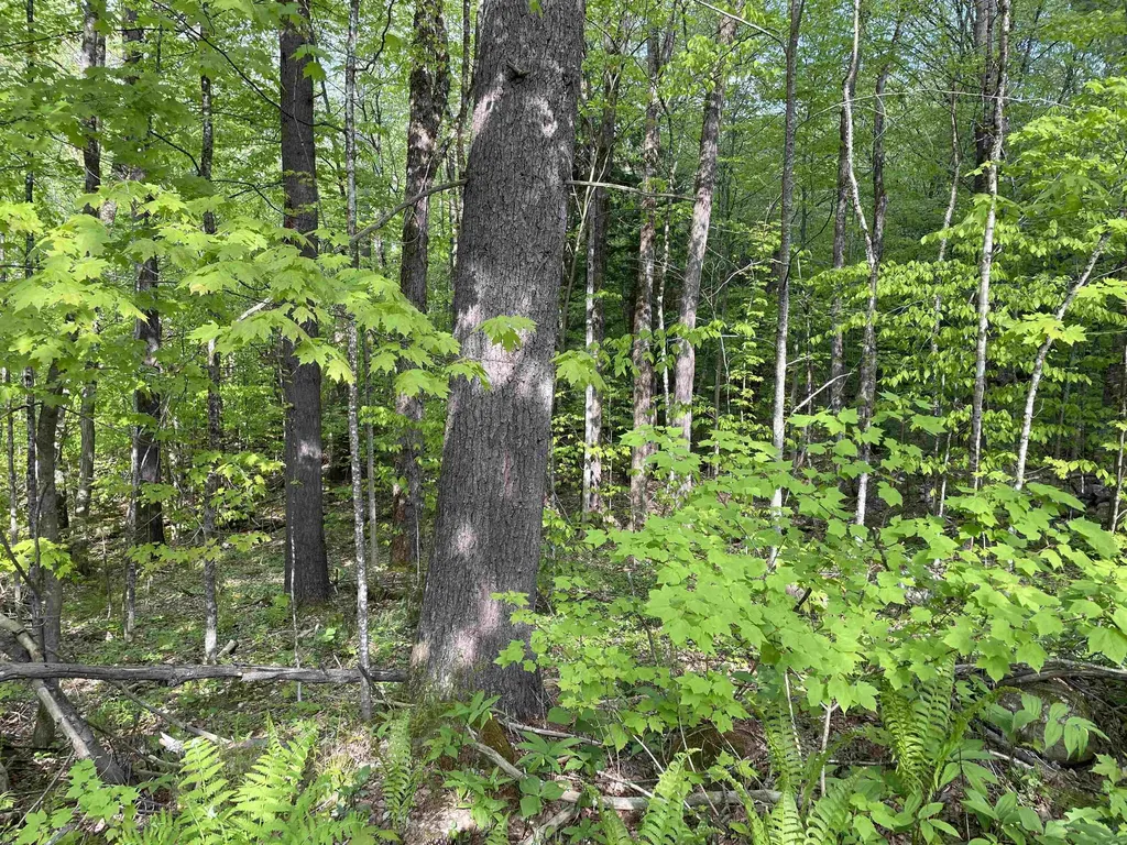 0 Snell Road Chester VT 05143