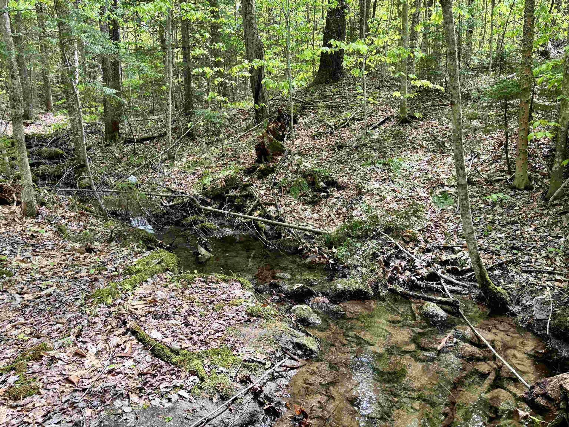 0 Snell Road Chester VT 05143