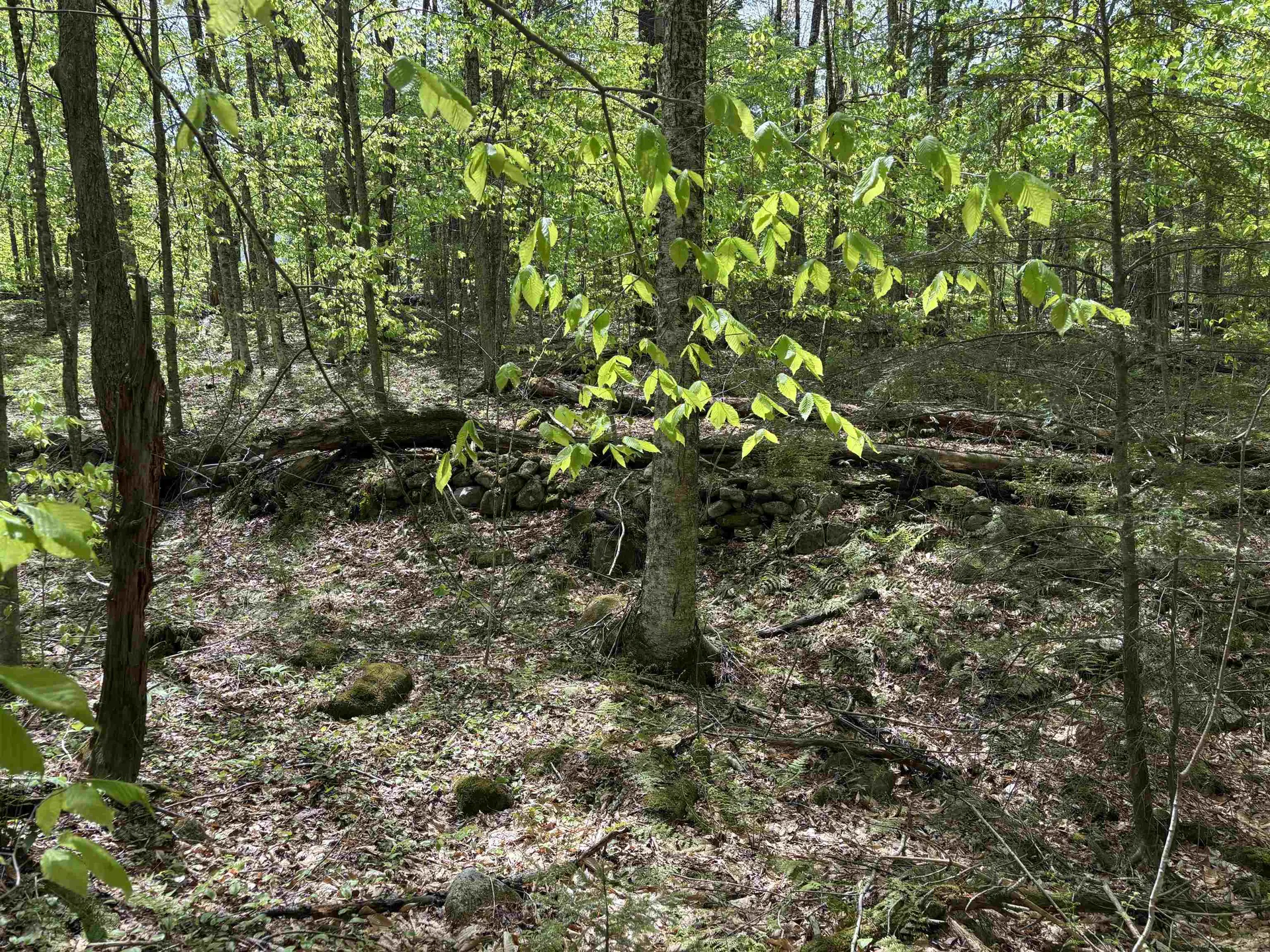 0 Snell Road Chester VT 05143