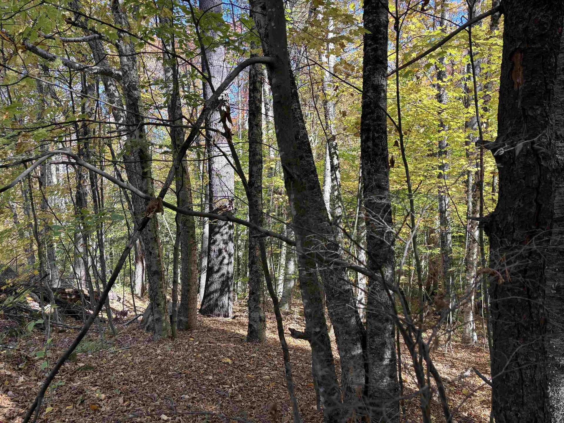 0 Snell Road Chester VT 05143