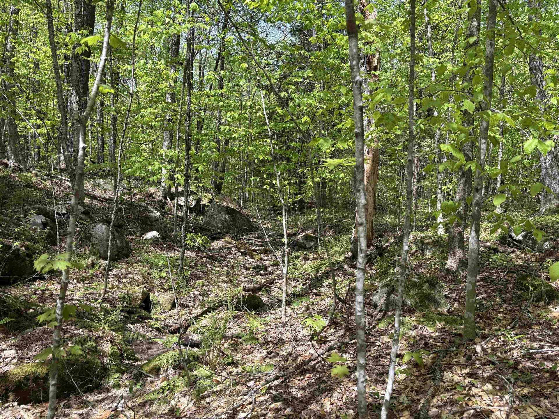 0 Snell Road Chester VT 05143