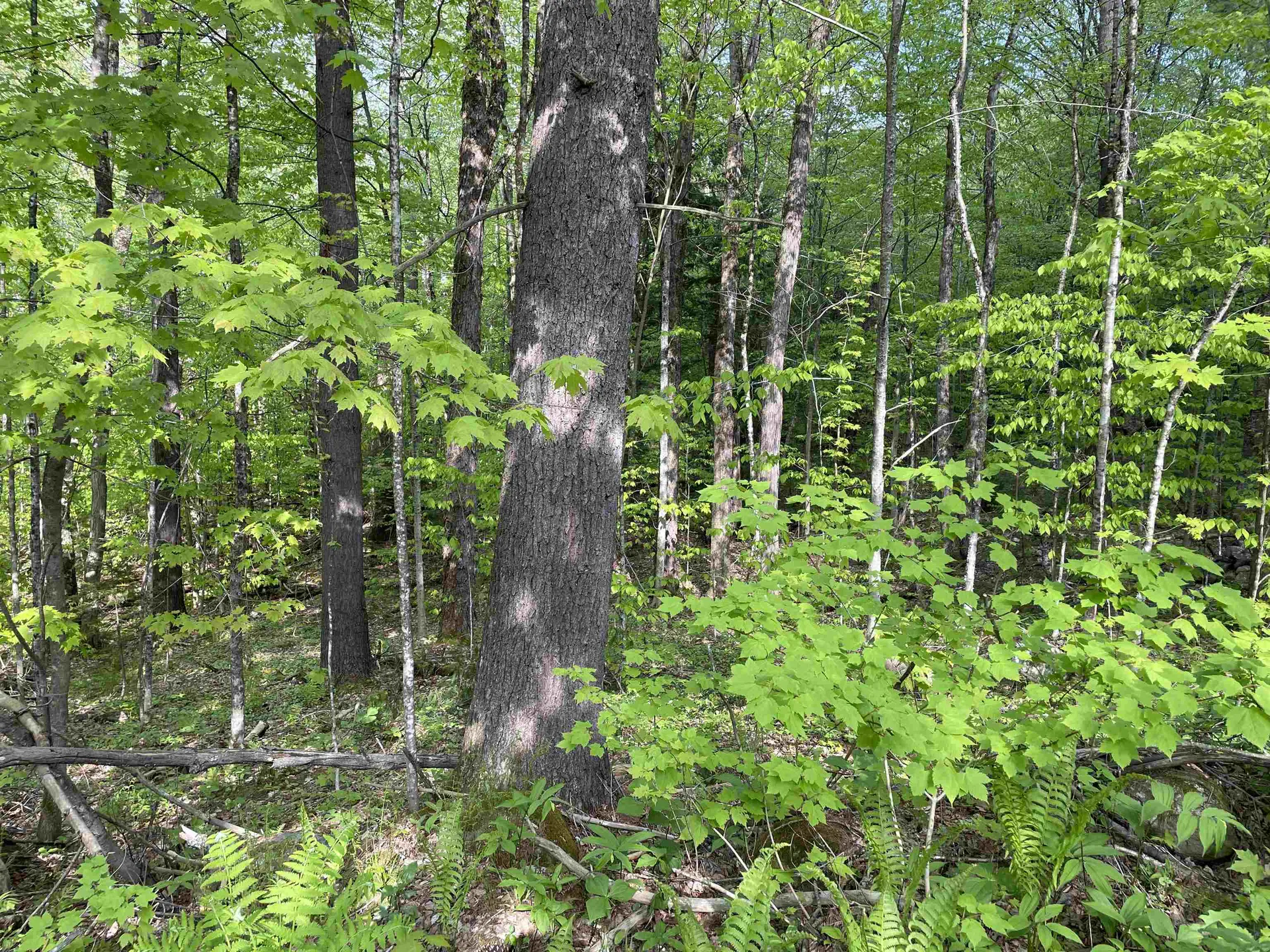 0 Snell Road Chester VT 05143