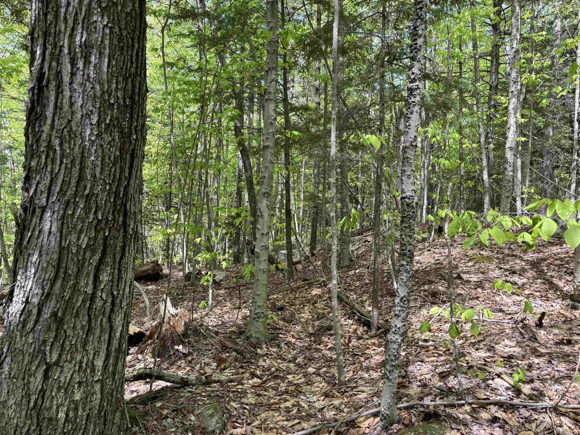 0 Snell Road Chester VT 05143