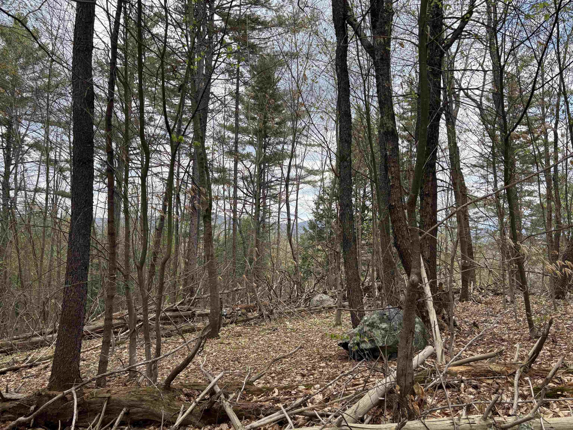 0 Snell Road Chester VT 05143