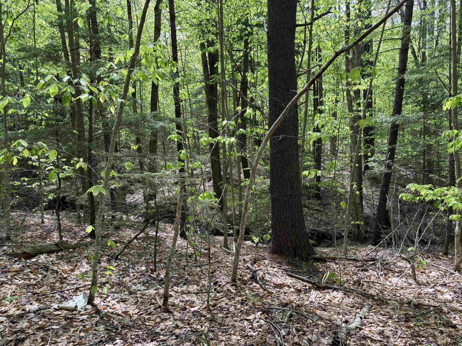 0 Snell Road Chester VT 05143