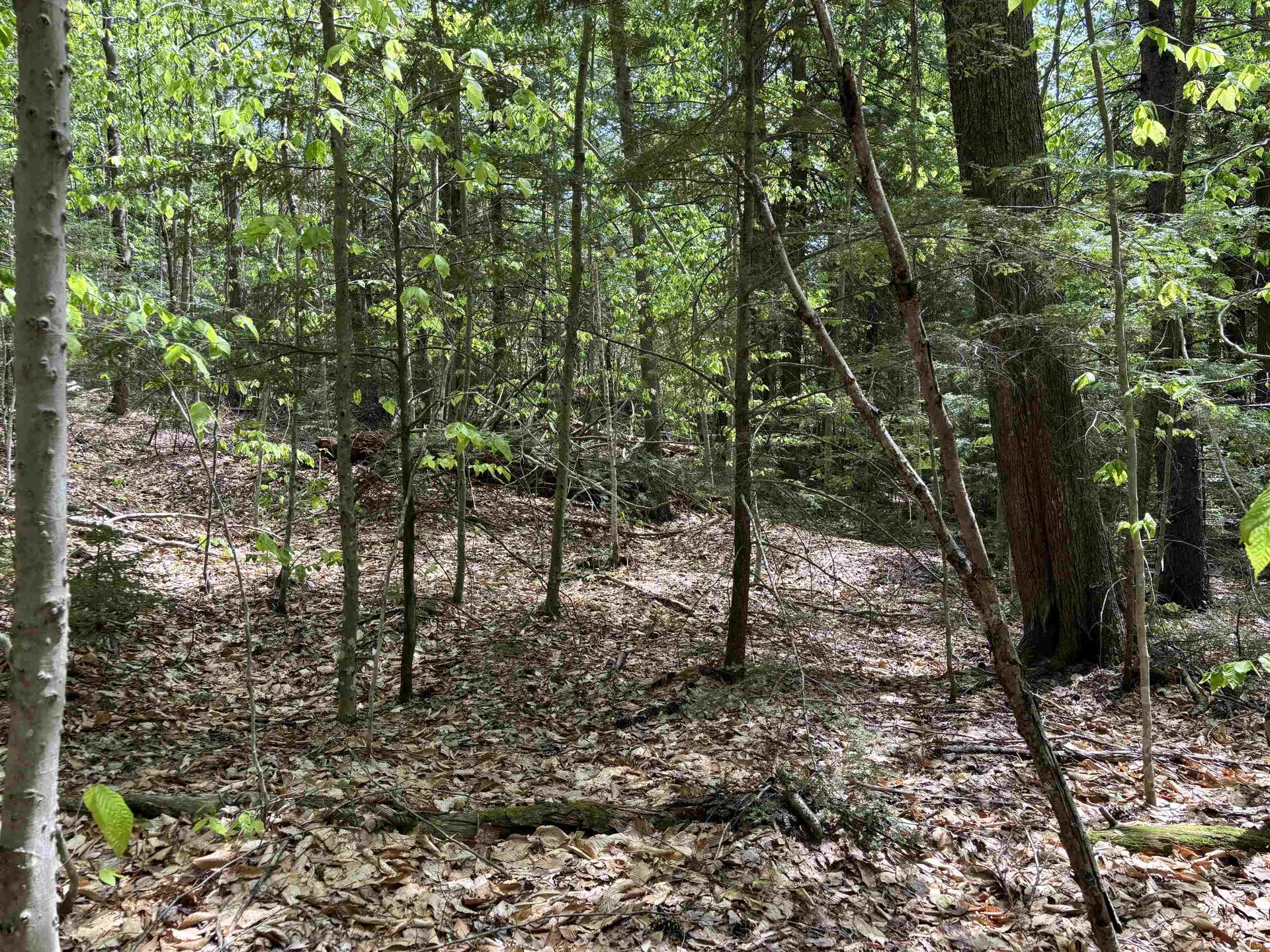 0 Snell Road Chester VT 05143