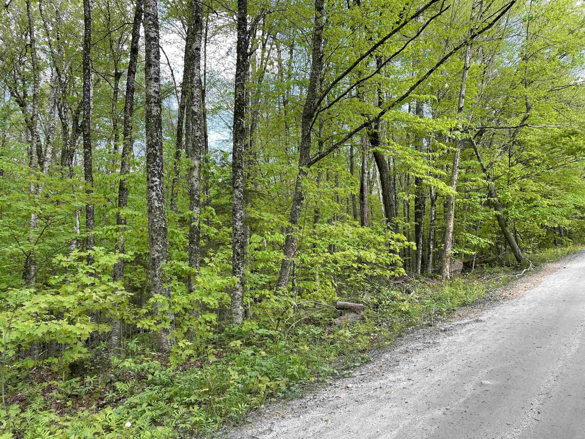 0 Snell Road Chester VT 05143