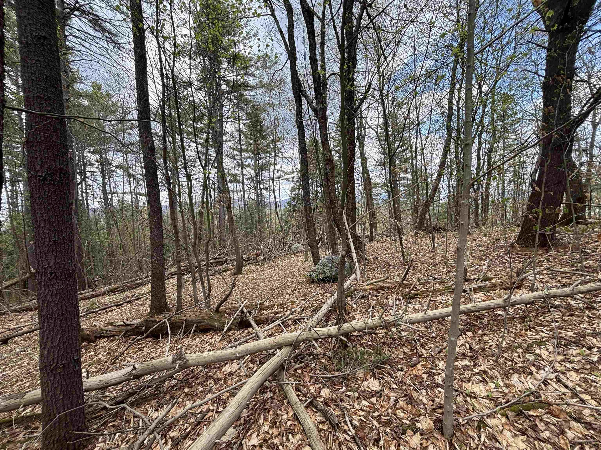 0 Snell Road Chester VT 05143