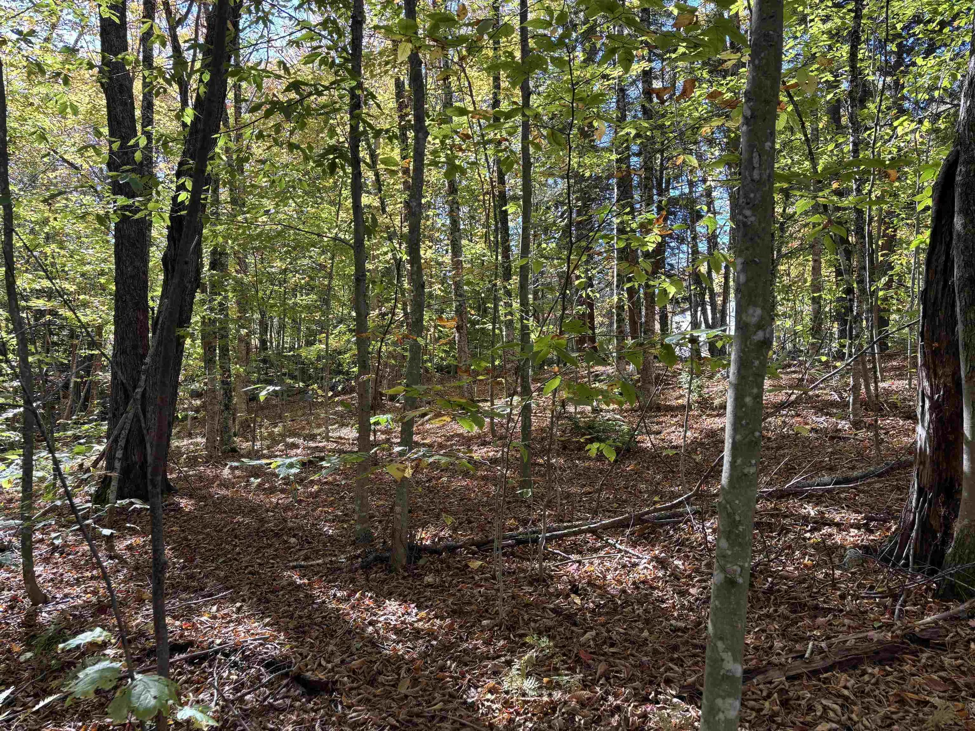 0 Snell Road Chester VT 05143