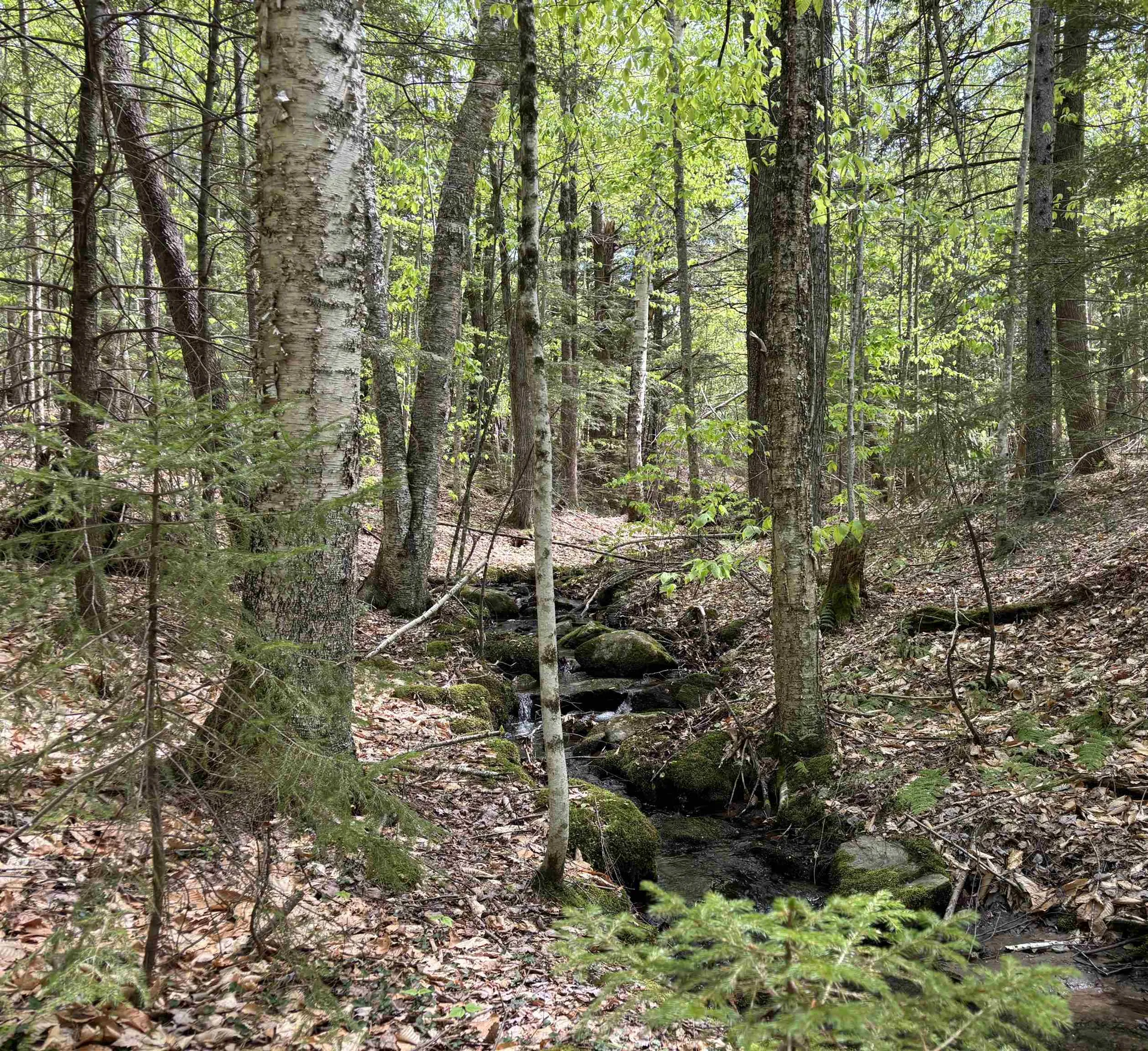 0 Snell Road Chester VT 05143