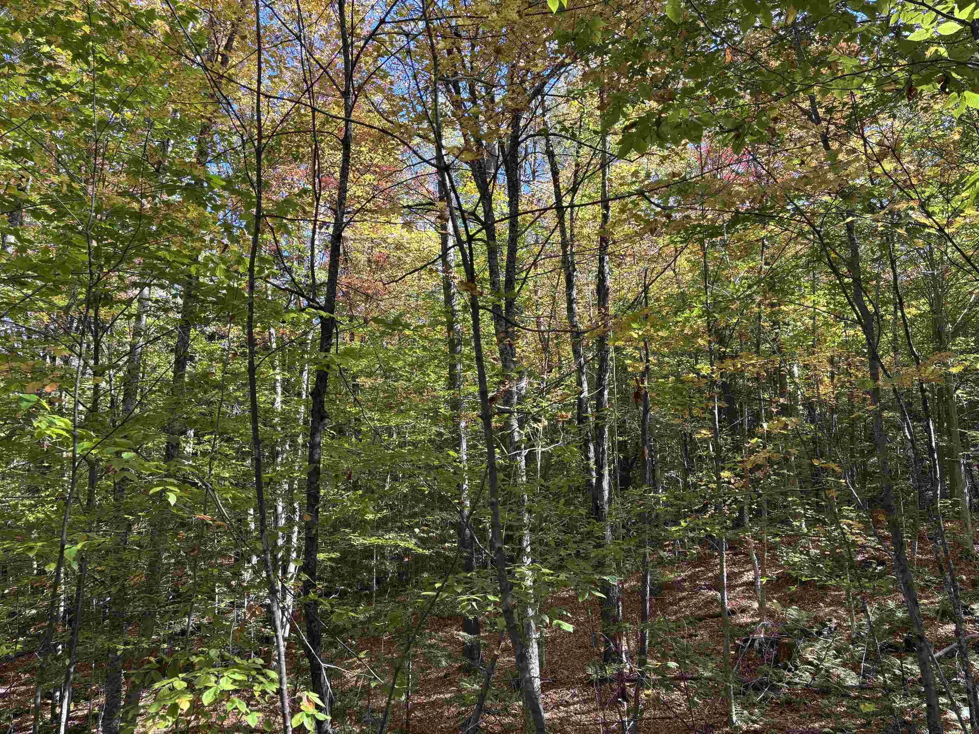 0 Snell Road Chester VT 05143