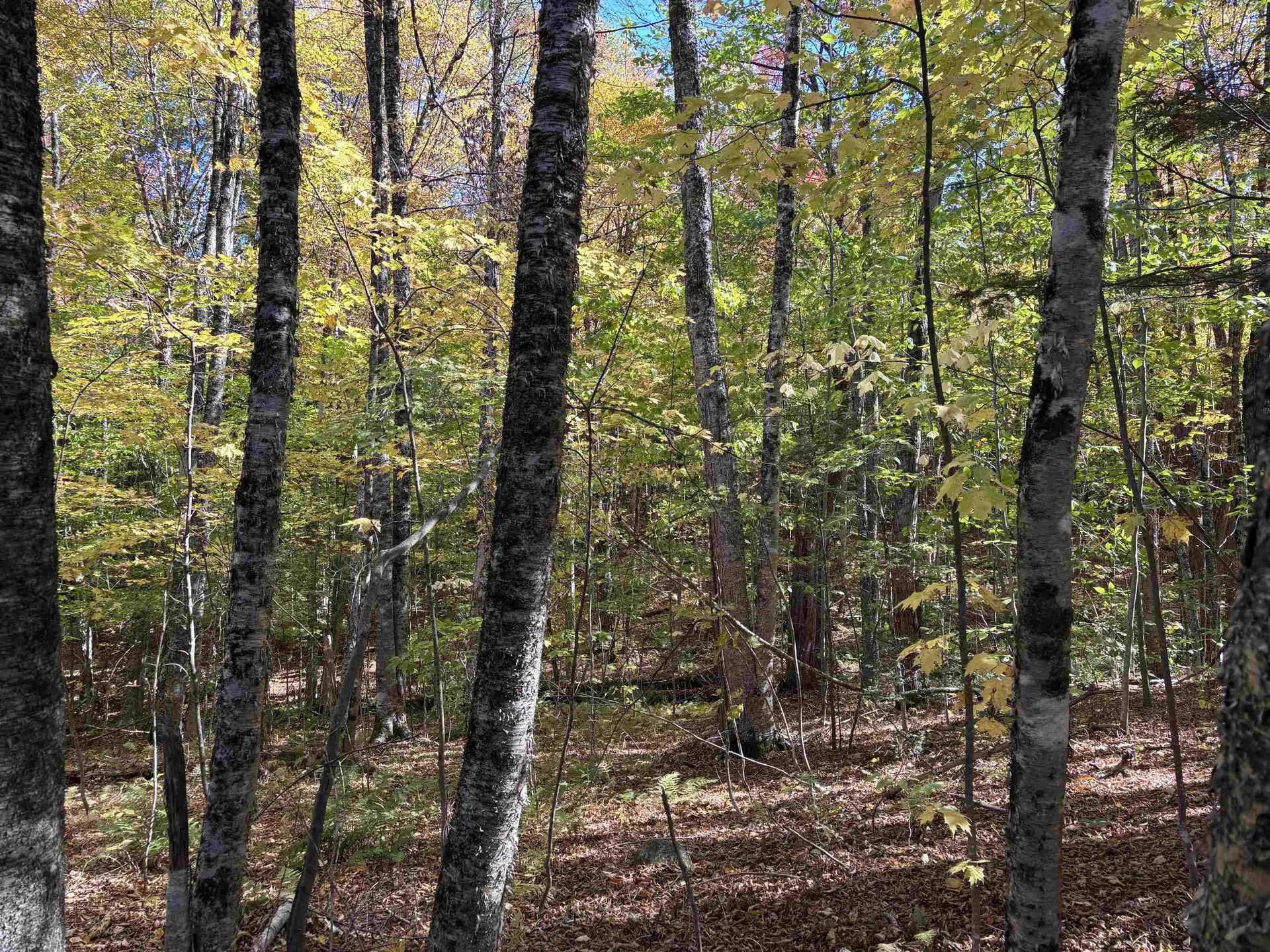 0 Snell Road Chester VT 05143