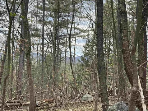 0 Snell Road Chester VT 05143