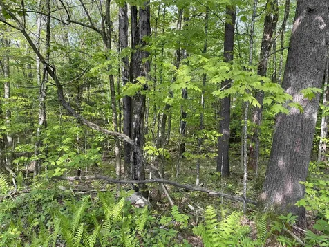 0 Snell Road Chester VT 05143