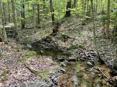 0 Snell Road Chester VT 05143