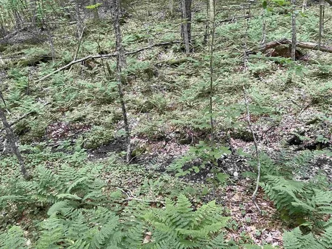 0 Snell Road Chester VT 05143
