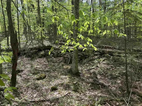 0 Snell Road Chester VT 05143