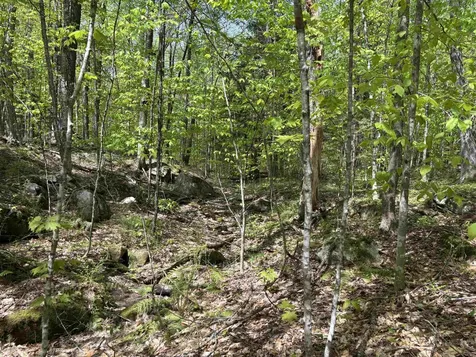 0 Snell Road Chester VT 05143