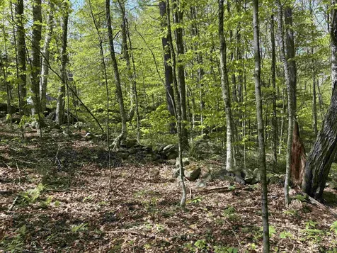 0 Snell Road Chester VT 05143