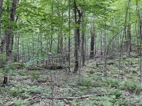 0 Snell Road Chester VT 05143