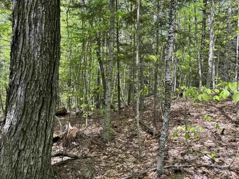 0 Snell Road Chester VT 05143