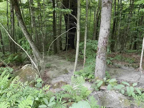 0 Snell Road Chester VT 05143