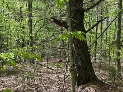 0 Snell Road Chester VT 05143