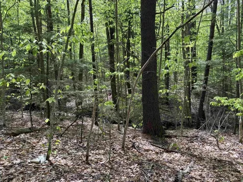 0 Snell Road Chester VT 05143