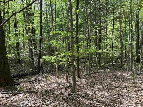 0 Snell Road Chester VT 05143