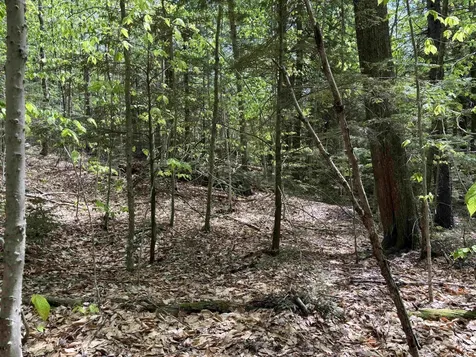 0 Snell Road Chester VT 05143