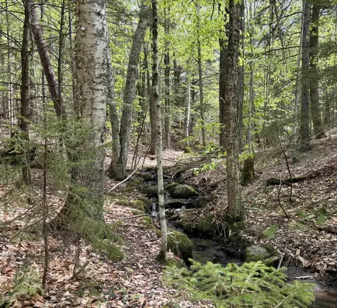 0 Snell Road Chester VT 05143