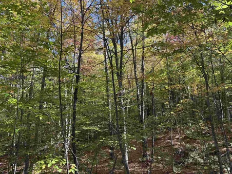 0 Snell Road Chester VT 05143