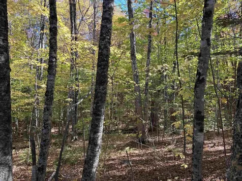 0 Snell Road Chester VT 05143