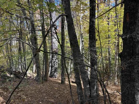 0 Snell Road Chester VT 05143