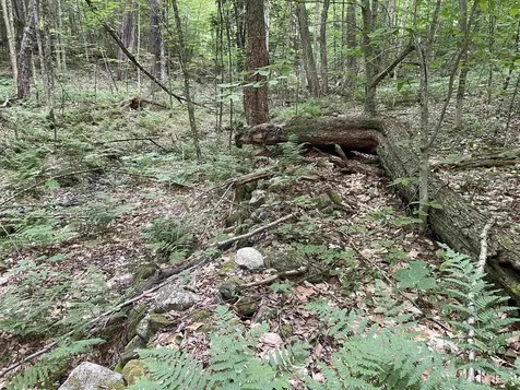 0 Snell Road Chester VT 05143