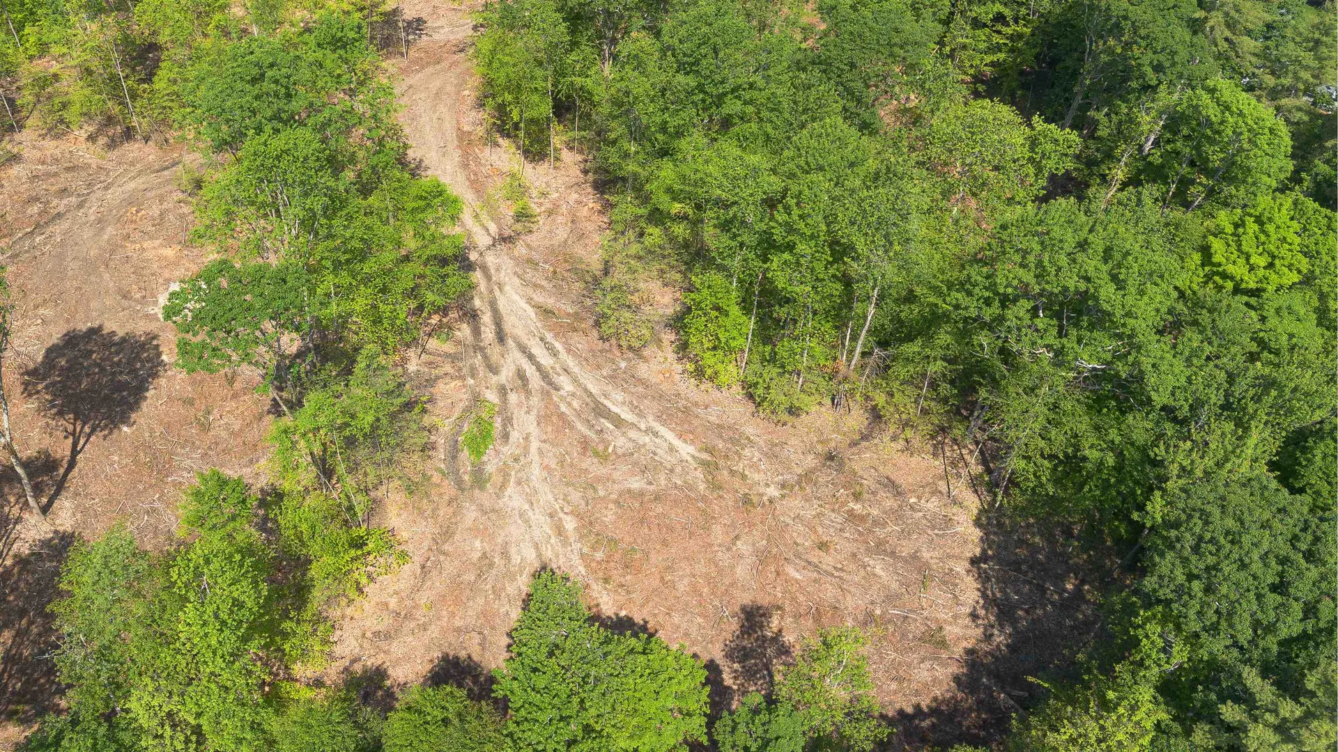 31 Reed Road Sandown NH 03873